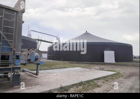 Gambarana (Pavia, Italien) für die Produktion von Strom aus Biomasse in 'Burg' Farm. Stockfoto