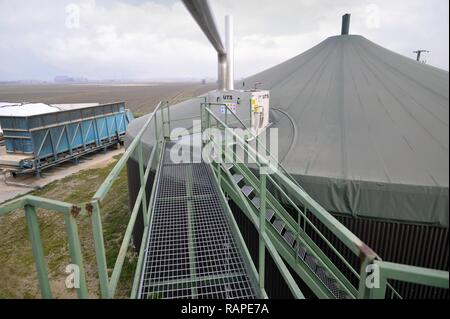 Gambarana (Pavia, Italien) für die Produktion von Strom aus Biomasse in 'Burg' Farm. Stockfoto