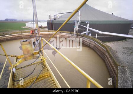 Gambarana (Pavia, Italien) für die Produktion von Strom aus Biomasse in 'Burg' Farm. Stockfoto