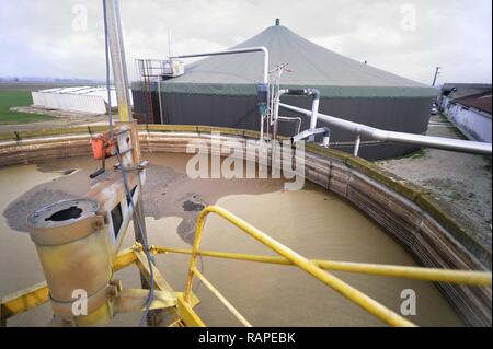 Gambarana (Pavia, Italien) für die Produktion von Strom aus Biomasse in 'Burg' Farm. Stockfoto