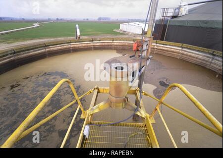 Gambarana (Pavia, Italien) für die Produktion von Strom aus Biomasse in 'Burg' Farm. Stockfoto