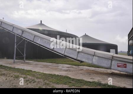 Gambarana (Pavia, Italien) für die Produktion von Strom aus Biomasse in 'Burg' Farm. Stockfoto