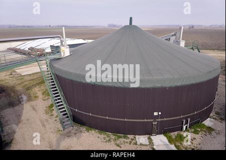 Gambarana (Pavia, Italien) für die Produktion von Strom aus Biomasse in 'Burg' Farm. Stockfoto