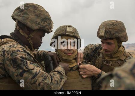 Us Marine Corps Pfc. Marvin Escobar, eine Reihe 3 cannoneer mit Alpha Batterie, 1.Bataillon, 12 Marines, derzeit zu Alpha Akku, 3.Bataillon, 12 Marines steht an Aufmerksamkeit, während als hauptgefreiter während der Werbeaktion Zeremonie in der Hijudai Manöver, Japan, 1. März 2017 festgesteckt wird. Marinesoldaten und Matrosen an der Artillerie relocation Training Programm rechtzeitige und genaue Brände zu stellen militärische beruflichen Spezialgebiet Fähigkeiten, Zug Marines/Matrosen in gemeinsamen Fähigkeiten zu erhalten, und professionelle militärische Ausbildung für das allgemeine Ziel der Verbesserung Kamm fördern Stockfoto