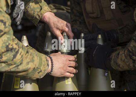 Ein US-Marine mit Alpha Batterie, 1.Bataillon, 12 Marines, derzeit zu Alpha Akku, 3.Bataillon, 12 Marines strafft die Spitze eines M795 High explosive Runde in der Hijudai Manöver, Japan, 1. März 2017. Marinesoldaten und Matrosen an der Artillerie relocation Training Programm rechtzeitige und genaue Brände zu stellen militärische beruflichen Spezialgebiet Fähigkeiten, Zug Marines/Matrosen in gemeinsamen Fähigkeiten zu erhalten, und professionelle militärische Ausbildung für das allgemeine Ziel der Verbesserung der Bekämpfung der Betriebsbereitschaft und internationale Beziehungen zu fördern. Stockfoto