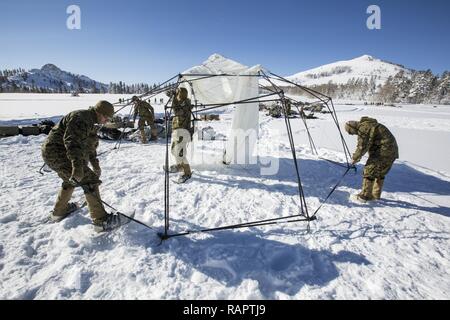 Us-Marines mit Mobilität Angriff Unternehmen, 1 Combat Engineer Battalion (CEB), 1st Marine Division ein Zelt während Berg Training Übung (MTX) 2-17 im Marine Corps Mountain warfare Training Center, Bridgeport, Calif., 24.02.2017. 1. CEB durchgeführt Szenario-basierte Training, dass Mobilität umfasste, Mobilität und Überlebensfähigkeit in einem Gebirgigen, schneebedeckten enironment, 1. CEB herausgefordert bekämpfen Engineering Lösungen für angetriebene Infanterie Aufgaben zu generieren. Marines vom 7. Techniker Bataillon, 1. Marine Logisitics Gruppe, 2.Bataillon, 11 Marine R Stockfoto