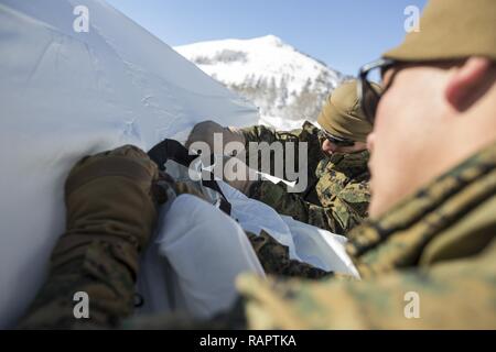 Us-Marines mit Mobilität Angriff Unternehmen, 1 Combat Engineer Battalion (CEB), 1st Marine Division ein Zelt während Berg Training Übung (MTX) 2-17 im Marine Corps Mountain warfare Training Center, Bridgeport, Calif., 24.02.2017. 1. CEB durchgeführt Szenario-basierte Training, dass Mobilität umfasste, Mobilität und Überlebensfähigkeit in einem Gebirgigen, schneebedeckten enironment, 1. CEB herausgefordert bekämpfen Engineering Lösungen für angetriebene Infanterie Aufgaben zu generieren. Marines vom 7. Techniker Bataillon, 1. Marine Logisitics Gruppe, 2.Bataillon, 11 Marine R Stockfoto