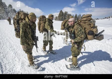 Us Marine Corps Oberstleutnant Chris 5,2Km (links), kommandierender Offizier, 1 Combat Engineer Battalion (CEB), 1st Marine Division, begrüßt die Mitglieder der Vereinigten Arabischen Emirate Militär nach einer Wanderung bei Mountain Training Übung (MTX) 2-17 im Marine Corps Mountain warfare Training Center, Bridgeport, Calif., Feb 25, 2017. 1. CEB durchgeführt Szenario-basierte Training, dass Mobilität umfasste, Mobilität und Überlebensfähigkeit in einem Gebirgigen, schneebedeckten enironment, 1. CEB herausgefordert bekämpfen Engineering Lösungen für angetriebene Infanterie Aufgaben zu generieren. Marines vom 7. Techniker Su Stockfoto