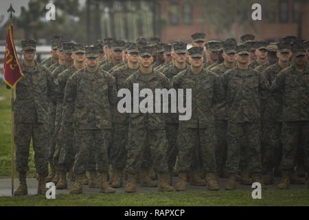 Us-Marines mit Firma D., 1.BATAILLON, rekrutieren Training Regiment, warten an der Tag der Familie auf Marine Corps Depot rekrutieren, Parris Island, S.C., am 2. März 2017. Tag der Familie besteht aus der neuen Marines, die freie Zeit, Zeit mit der Familie zu verbringen, bevor er am folgenden Tag. Stockfoto