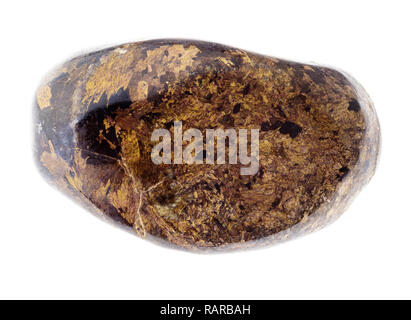 Makrofotografie von natürlichen Mineral aus geologische Sammlung - polierte Bronzite Edelstein auf weißem Hintergrund Stockfoto