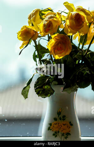 Verwelkte gelbe Rosen in Vase in Fenster Licht. Vase mit gelben Rosen. Blumen am Fenster. Gelbe Rosen in der Vase am Fenster. Stockfoto
