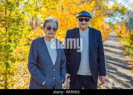 Rentner in Sonnenbrille in den Wald. Rentner wie Gangster Stockfoto