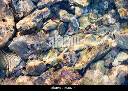 Kiesel in verschiedenen Größen in Salzwasser Stockfoto