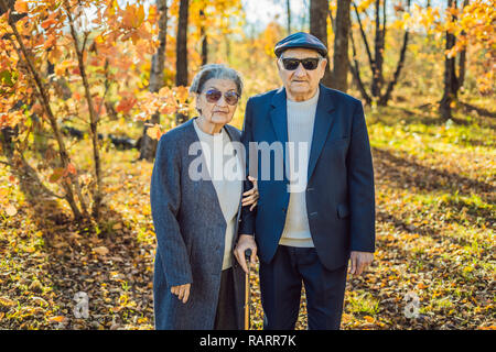 Rentner in Sonnenbrille in den Wald. Rentner wie Gangster Stockfoto