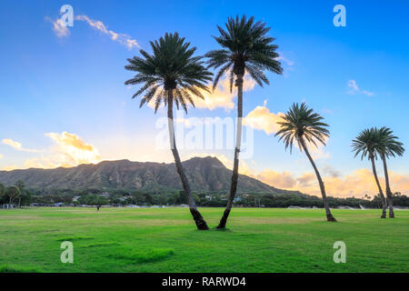 Das Diamond Head State Monument bei Sonnenaufgang, Oahu, Hawaii - Panorama Bild Stockfoto