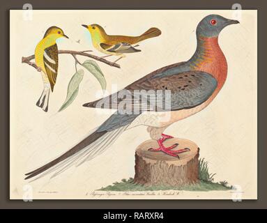 John G. Warnicke nach Alexander Wilson, Passenger Pigeon, Blau - Berg Grasmücke, und Hemlock Warbler, Amerikanische, starb Neuerfundene Stockfoto