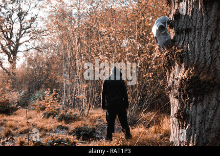 Ein Schaf Schadel An Einem Baumstamm Mit Einem Unscharfen Bild Hintergrund Mit Amuted Bearbeiten Stockfotografie Alamy