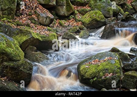 Ein schnell fliessenden Fluss im Peak District National Park, Großbritannien. Die erosive Kraft von Burbage Bach durch Padley Schlucht ist in seiner turbulant Fluss gesehen. Stockfoto