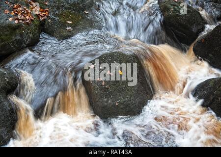 Ein schnell fliessenden Fluss im Peak District National Park, Großbritannien. Die erosive Kraft von Burbage Bach durch Padley Schlucht ist in seiner turbulant Fluss gesehen. Stockfoto