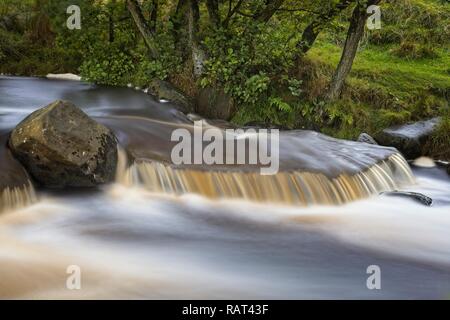 Ein schnell fließender Fluss im Peak District National Park, Großbritannien. Die erosive Kraft von Burbage Bach durch Padley Schlucht ist in seiner turbulent​ Fluss gesehen. Stockfoto