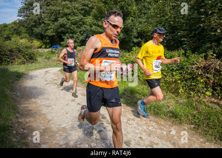 Athleten in das Tier runden laufen von Corfe Castle zu Winspit in Dorset, Großbritannien Stockfoto