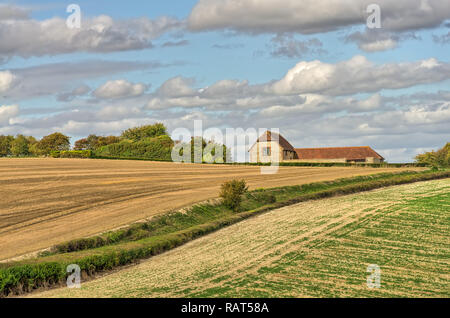 Eine Ansicht einer umgebauten Scheune und Ackerland im Spätsommer. Stockfoto