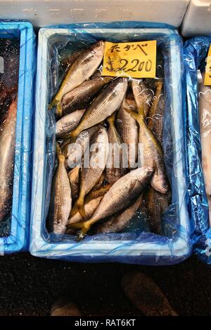 TOKYO, Japan - 11. MAI 2012: Fische Preis an der berühmten Tsukiji Fischmarkt in Tokio. Es ist die größte Großhandel Fisch und Meeresfrüchte Markt der Welt. Stockfoto