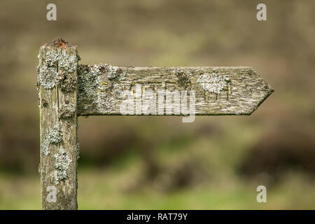 Ein rustikales Holz- Wegweiser für Fußweg. Alte Holz in Flechten und Moos bedeckt. Rechte Pointing Wegweiser. Schilder mit einer geringen Tiefenschärfe. Woodland. Stockfoto