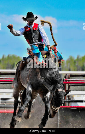 Eine vertikale Bild eines Cowboys reiten eine wilde Saddle bronc an einer im Rodeo Arena in Alberta, Kanada Stockfoto