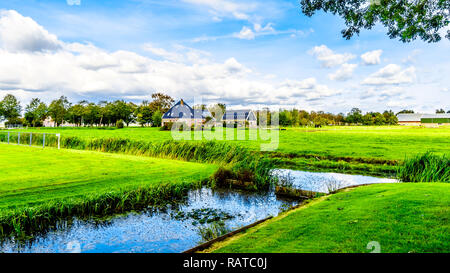 Typische holländische Polderlandschaft in den Beemster Polder in der westlichen Provinz Noord Holland in den Niederlanden Stockfoto