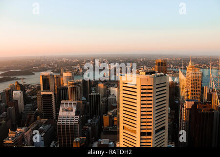 Blick auf den Hafen und die Skyline von Sydney aus der höchste Aussichtspunkt in der Stadt bei Sonnenuntergang (Sydney, New South Wales, Australien) Stockfoto