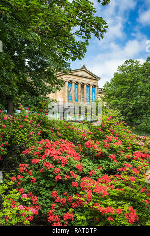 Rhododendron Büsche in den Princess Street Gardens in Edinburgh, Schottland, Großbritannien, Europa. Stockfoto