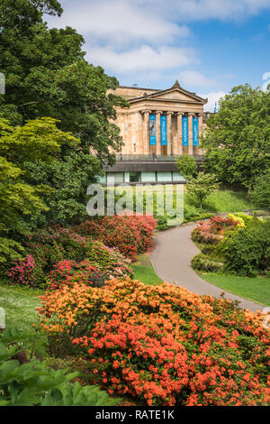 Rhododendron Büsche in den Princess Street Gardens in Edinburgh, Schottland, Großbritannien, Europa. Stockfoto