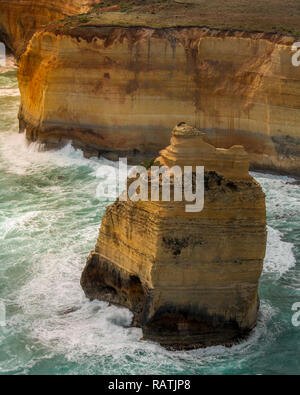 Luftaufnahme auf einen der Zwölf Apostel an der Great Ocean Road im Inneren eines Hubschraubers bei Sonnenuntergang/Sonnenaufgang (Great Ocean Road, Australien) erfasst Stockfoto