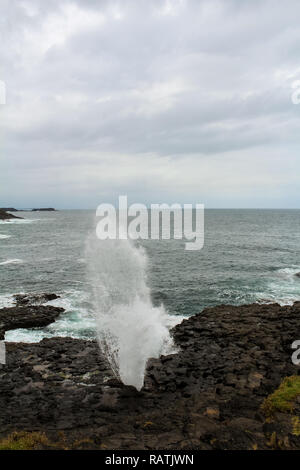 Wenig blowhole in dem malerischen Dorf in der Nähe von Kiama Jervis Bay auf einem Moody Frühling mit Springbrunnen (Jervis Bay, Australien) Stockfoto