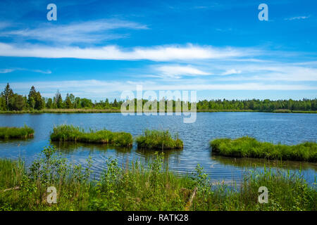 Wandern am See im Wurzacher Ried in Bad Wurzach, Deutschland Stockfoto