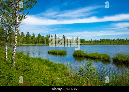 Wandern am See im Wurzacher Ried in Bad Wurzach, Deutschland Stockfoto