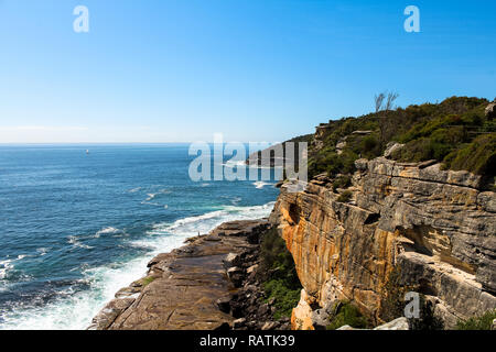 Spektakuläre Klippen auf der Manly Beach an der Küste zu Fuß mit Wellen, Meer/See und wolkenlosen Himmel in den frühen Morgenstunden (Sydney, Australien) Stockfoto