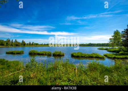 Wandern am See im Wurzacher Ried in Bad Wurzach, Deutschland Stockfoto