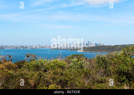 Skyline von Sydney Manly Beach an der Küste zu Fuß mit Bäumen im Vordergrund auf einem klaren blauen Tag gesehen mit hellen Wolken (Sydney, Australien) Stockfoto