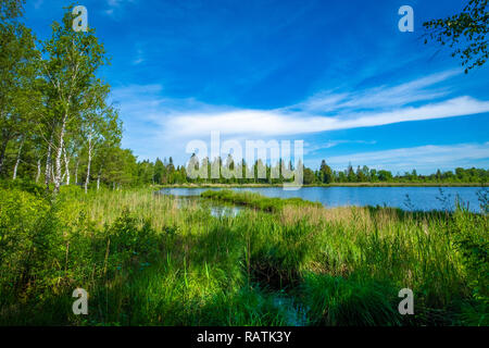 Wandern am See im Wurzacher Ried in Bad Wurzach, Deutschland Stockfoto