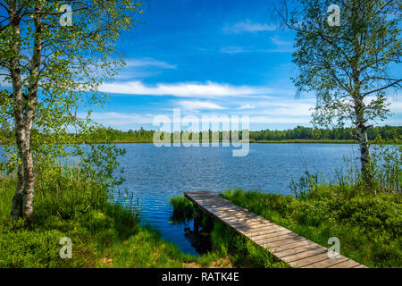 Wandern am See im Wurzacher Ried in Bad Wurzach, Deutschland Stockfoto