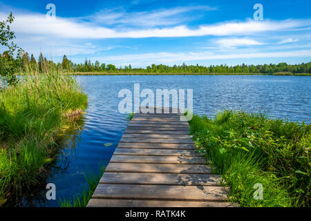 Wandern am See im Wurzacher Ried in Bad Wurzach, Deutschland Stockfoto