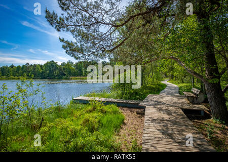 Wandern am See im Wurzacher Ried in Bad Wurzach, Deutschland Stockfoto