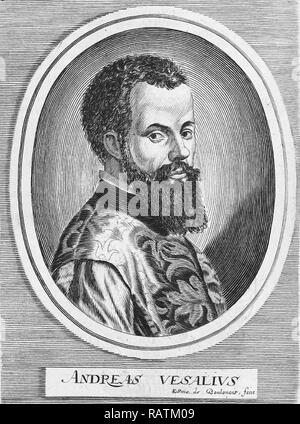 ANDREAS VESALIUS (1514-1564) Flämische Anatom Stockfoto