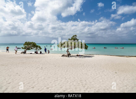 Zwei Divi Divi Bäume am Strand Stockfoto