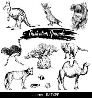 Satz von Hand gezeichnete Skizze Stil australische Tiere auf weißem Hintergrund. Vector Illustration. Stock Vektor