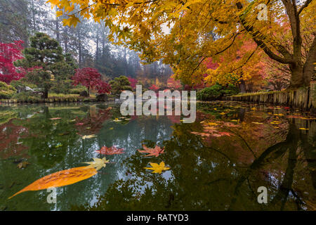 Einer der besten Plätze für peak Herbst Farbe in Spokane ist der Japanische Garten in Manito Park. Eine geringe Perspektive bietet einen einzigartigen Blick auf die Kiri Teich. Stockfoto