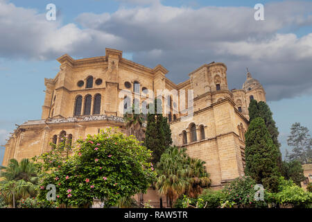 Die Kathedrale von Malaga, Spanien, wurde 1782 abgeschlossen. Es ist eine der größten Kathedralen im Land und ist das Herzstück der Stadt. Stockfoto