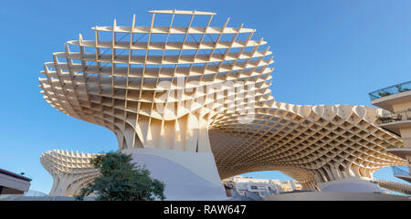 Blick auf Metropol Parasol, auch bekannt als Setas de Sevilla​, an der Plaza Encarnacion, Sevilla, Andalusien, Spanien Stockfoto